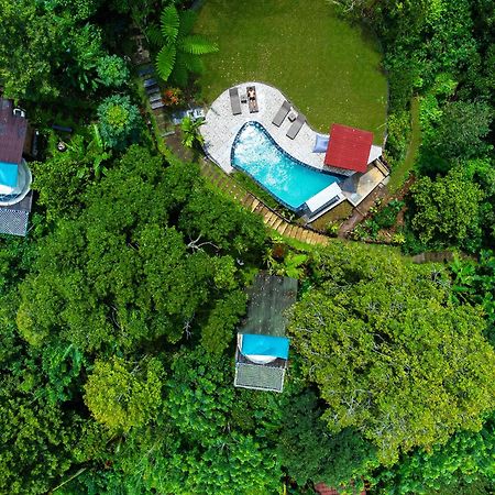 Bali Jungle Camping By Amerta Experience Selemadeg Buitenkant foto