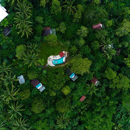 Bali Jungle Camping By Amerta Experience Selemadeg Buitenkant foto