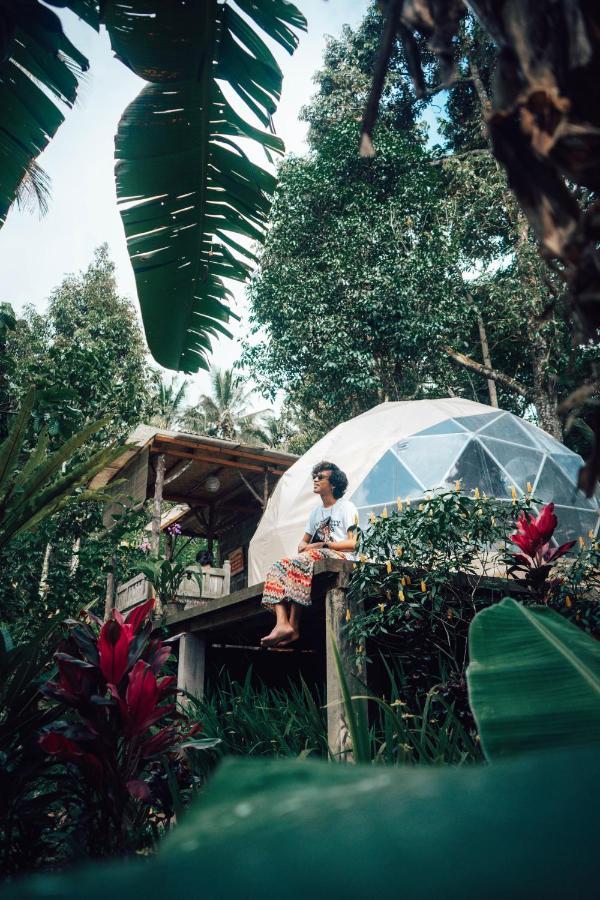 Bali Jungle Camping By Amerta Experience Hotel Selemadeg Buitenkant foto