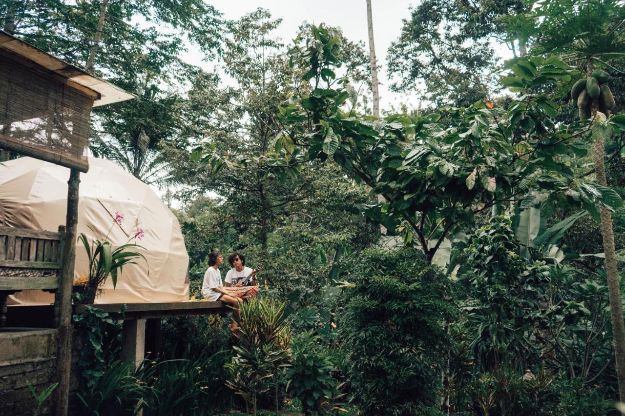 Bali Jungle Camping By Amerta Experience Selemadeg Buitenkant foto