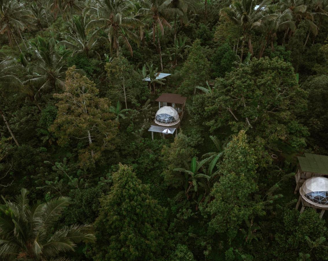 Bali Jungle Camping By Amerta Experience Selemadeg Buitenkant foto