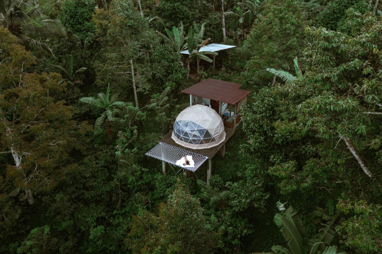Bali Jungle Camping By Amerta Experience Selemadeg Buitenkant foto