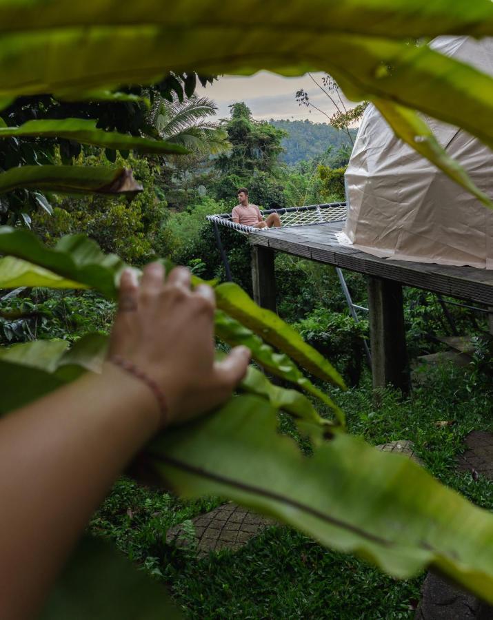 Bali Jungle Camping By Amerta Experience Hotel Selemadeg Buitenkant foto