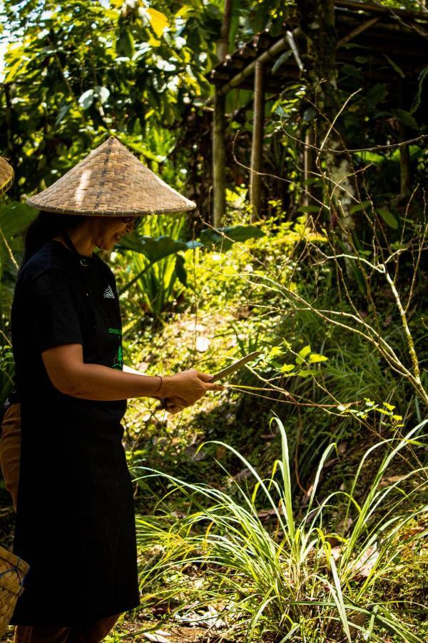 Bali Jungle Camping By Amerta Experience Selemadeg Buitenkant foto