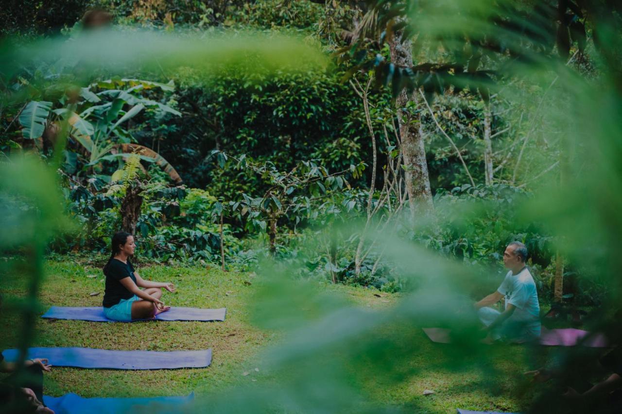 Bali Jungle Camping By Amerta Experience Selemadeg Buitenkant foto