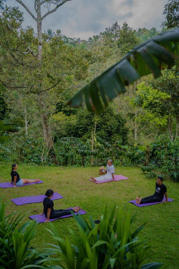 Bali Jungle Camping By Amerta Experience Selemadeg Buitenkant foto