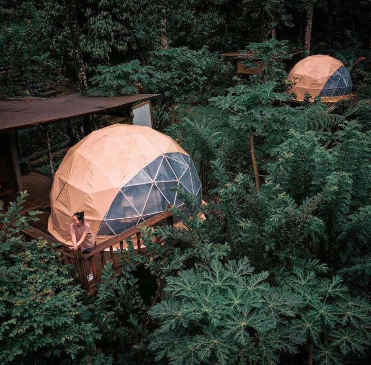Bali Jungle Camping By Amerta Experience Selemadeg Buitenkant foto
