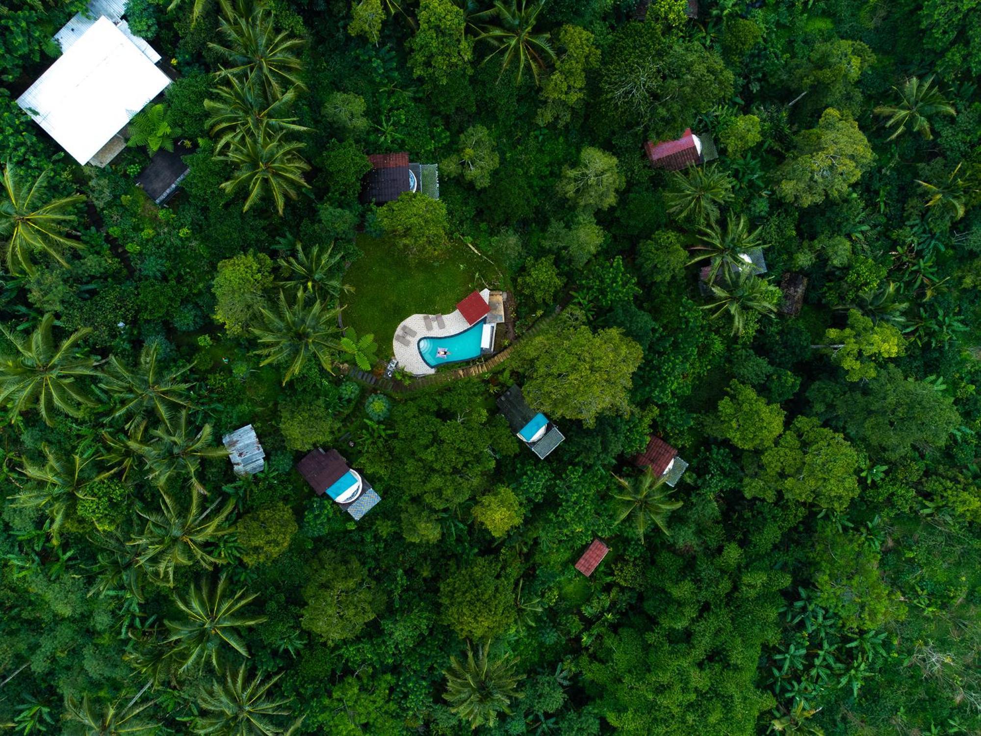 Bali Jungle Camping By Amerta Experience Selemadeg Buitenkant foto